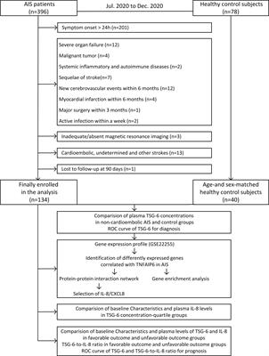 Plasma Concentration of Tumor Necrosis Factor-Stimulated Gene-6 as a Novel Diagnostic and 3-Month Prognostic Indicator in Non-Cardioembolic Acute Ischemic Stroke